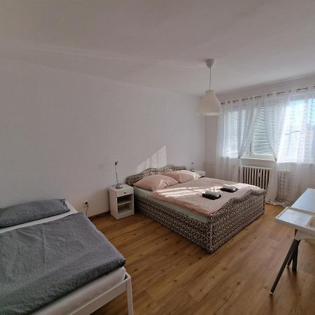 Apartment Simon Ii. Frantiskovy Lazne Luaran gambar